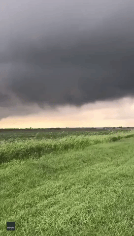 Tornado Forms Near Sycamore, Illinois