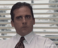 Season 1 Nbc GIF by The Office