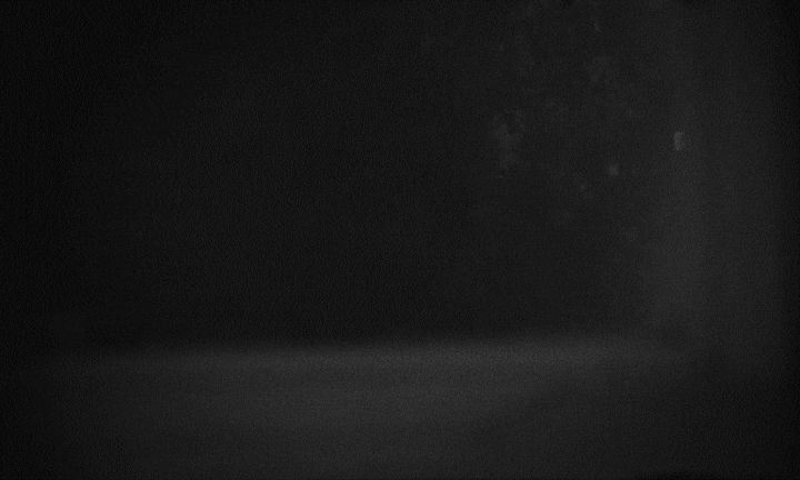 Grey Scale GIF by DUCKWRTH