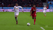 bayer 04 leverkusen winner GIF