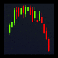 Bear Stop GIF by Octo Gaming