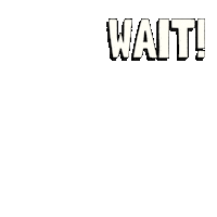 Wait What Waiting Sticker by Pudgy Penguins