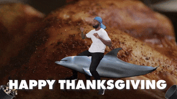 Black Friday Thanksgiving GIF by Sage and lemonade