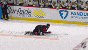 Carolina Hurricanes Laugh GIF by NHL