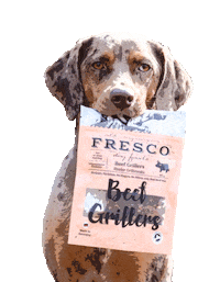 FrescoDog frescodog frescofood frescodogfood Sticker