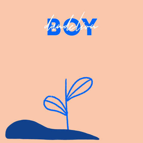 pogpals giphyupload illustration kawaii flower GIF