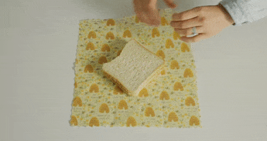 littlebumblewraps sandwich beeswax wrap food wrap little bumble GIF