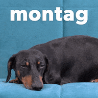 Germany Monday GIF by Sealed With A GIF