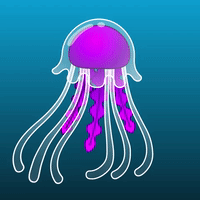 Jellyfish Hello
