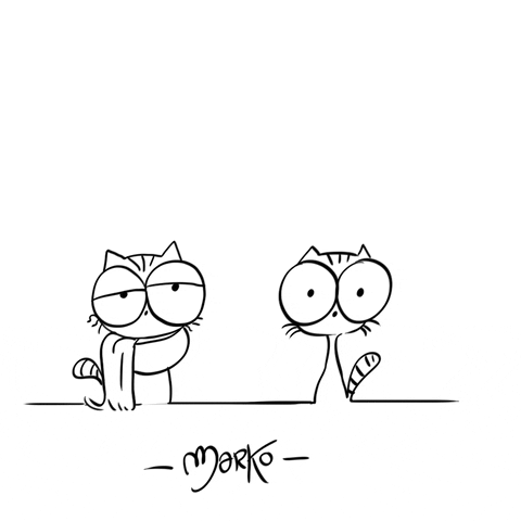 Cat GIF by marko