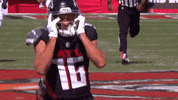 Football Celebrate GIF by Atlanta Falcons