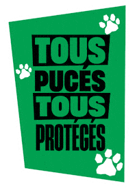Cat Dog Sticker by Fichier National I-CAD