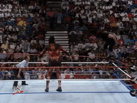 wwe sports wwe wrestling 1993 GIF