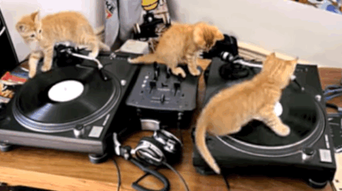 instrument GIF