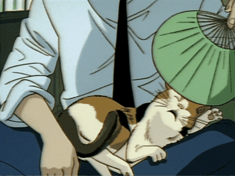 PerplexZen giphyupload hot anime cat GIF