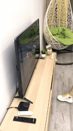 letscartpk giphygifmaker GIF