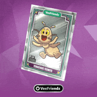 Box Collect GIF by VeeFriends