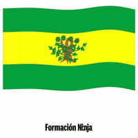 La Coruna Flag GIF by Formación Ninja