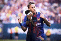 World Cup Football GIF