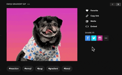 twitter upload GIF by How To Giphy