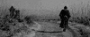 akira kurosawa samurai GIF by Coolidge Corner Theatre