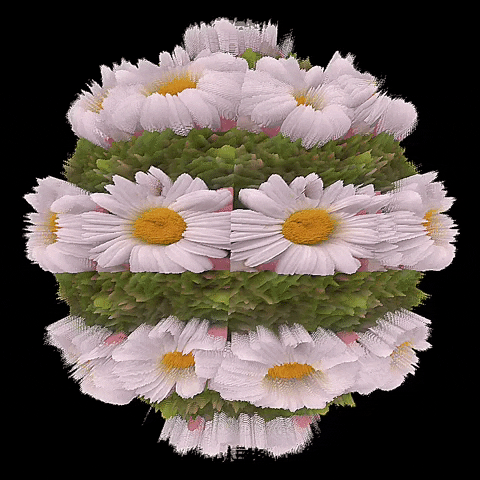 3D Augment GIF by Aleksey Efremov