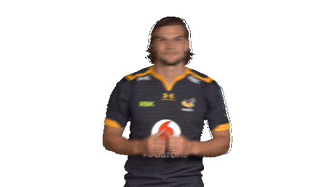 Rugby Sticker by Wasps