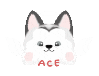 Ace Sticker