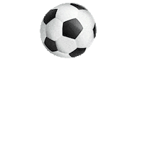 jump celebrate Sticker by myXL