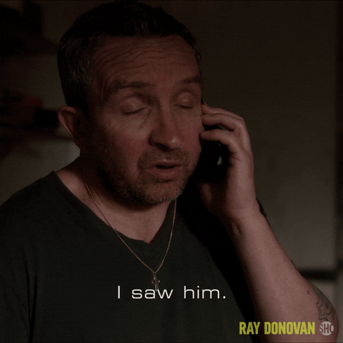 Showtime GIF by Ray Donovan