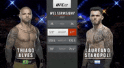 ufc sports sport ufc mma GIF