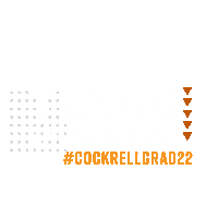 Texas Engineering Sticker by Cockrell School of Engineering