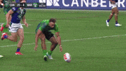 Nrl GIF by Canberra Raiders