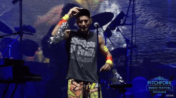 pitchfork music festival GIF by Pitchfork