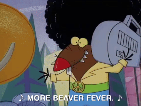 nickrewind giphydvr nicksplat angry beavers giphyab015 GIF
