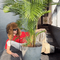 htrangforjju juhoon 주훈 juhoon cortis cortis juhoon GIF