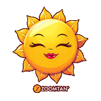 Happy Sun Sticker by Zoom Tan