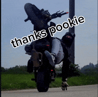 Thanks Thanking GIF