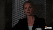Law And Order Drama GIF by ION Mystery