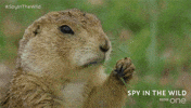 Bbc One GIF by BBC