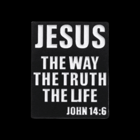 The Way Life GIF by Pinned Pins