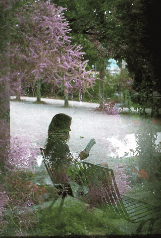 dominiklange34ca giphyupload GIF