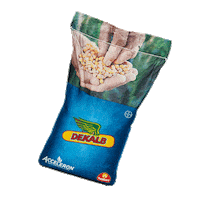Maiz Agricultor Sticker by DEKALB