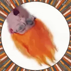 scottwayres giphyupload GIF