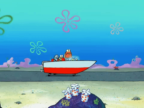 season 8 GIF by SpongeBob SquarePants