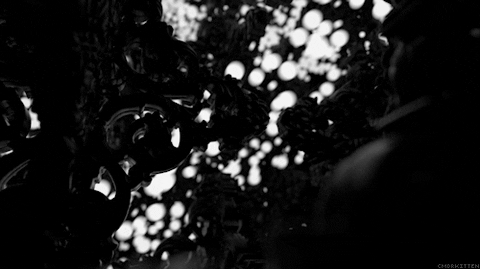 Infinite Loop Looping GIF by CmdrKitten