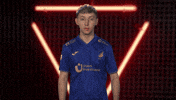 Tsg Hoffenheim Vbl GIF by Bundesliga