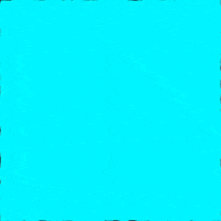 Virus Stay Home GIF by INTO ACTION