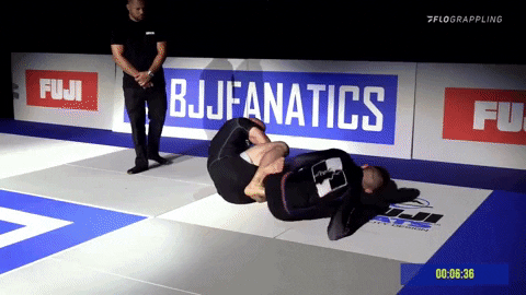 Bjj Jiu-Jitsu GIF by flograppling