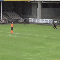 GIF by Football Australia